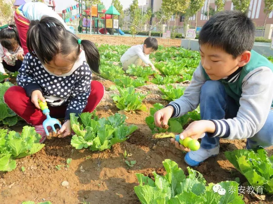 顽皮的篮球体育活动_顽皮的篮球教案_顽皮的篮球幼儿游戏规则