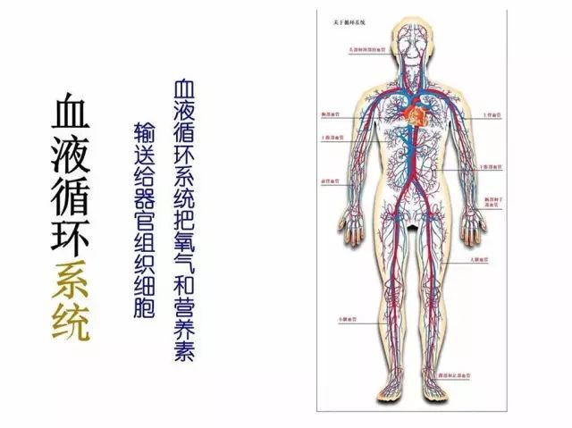 15个亚健康危险信号_危险信号是指_亚健康危险因素