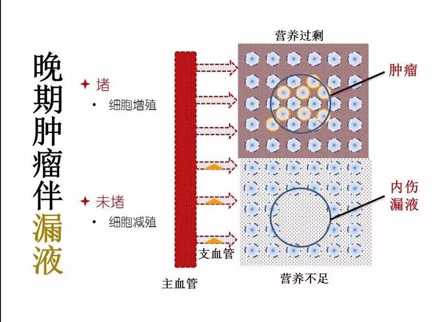 危险信号是指_亚健康危险因素_15个亚健康危险信号