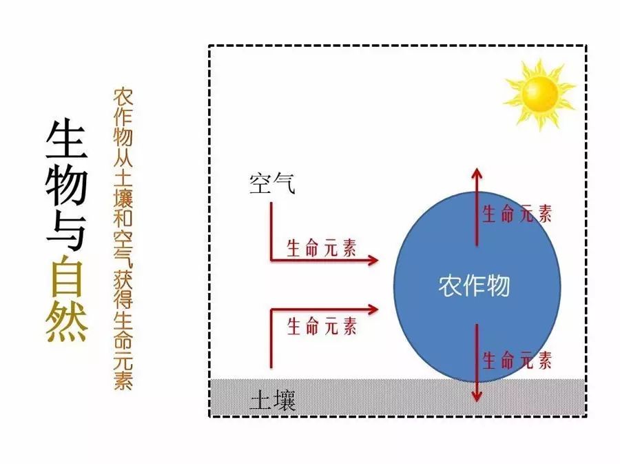 亚健康危险因素_15个亚健康危险信号_危险信号是指