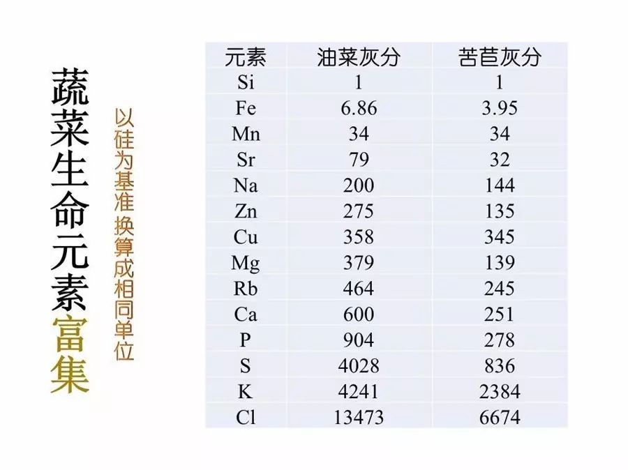 危险信号是指_亚健康危险因素_15个亚健康危险信号