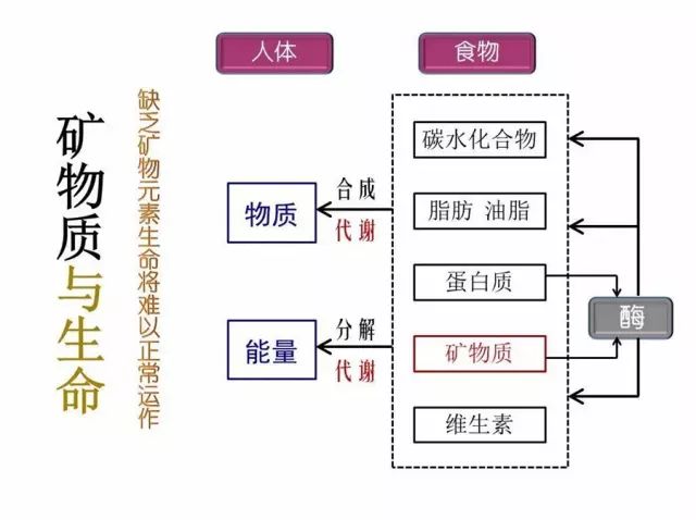 危险信号是指_亚健康危险因素_15个亚健康危险信号