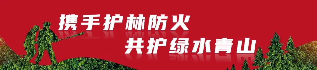 崇阳篮球联赛冠军是谁啊_崇阳县篮球比赛_崇阳县篮球协会