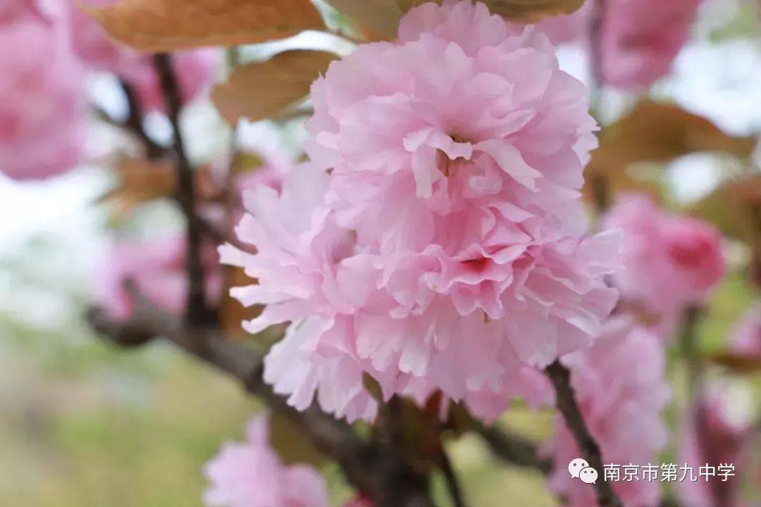 打篮球手怎么抓球_女生怎么抓篮球_手抓篮球技巧女生